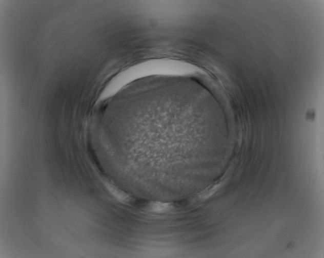 X0000092030333200709271614