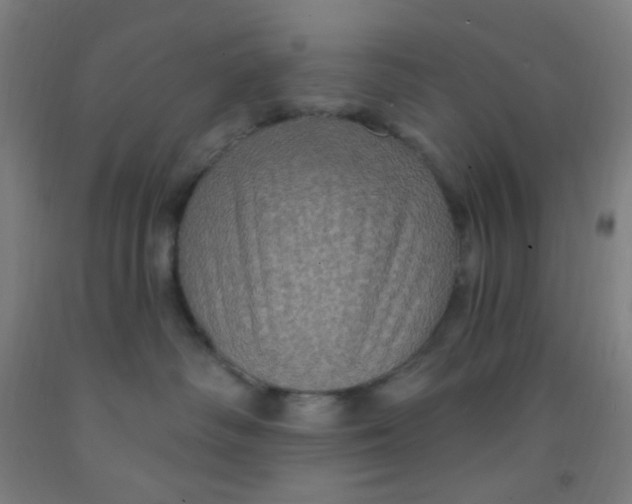 X0000092030334200709271614