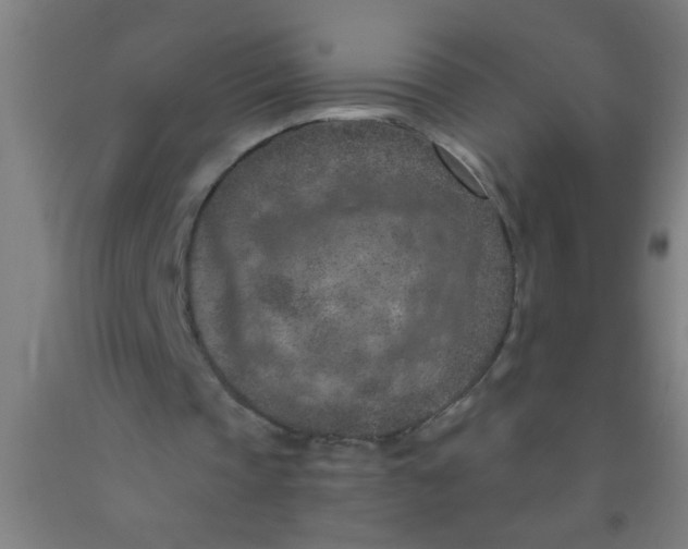 X0000092030337200709271613