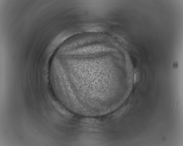 X0000092030339200709271613