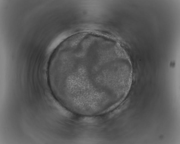 X0000092030341200709271613