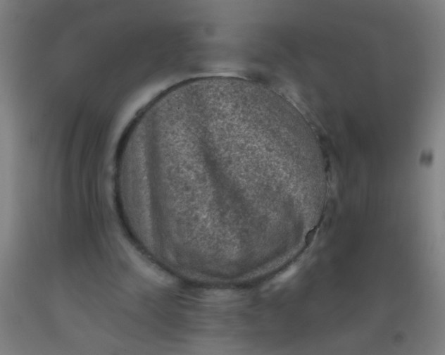 X0000092030342200709271613