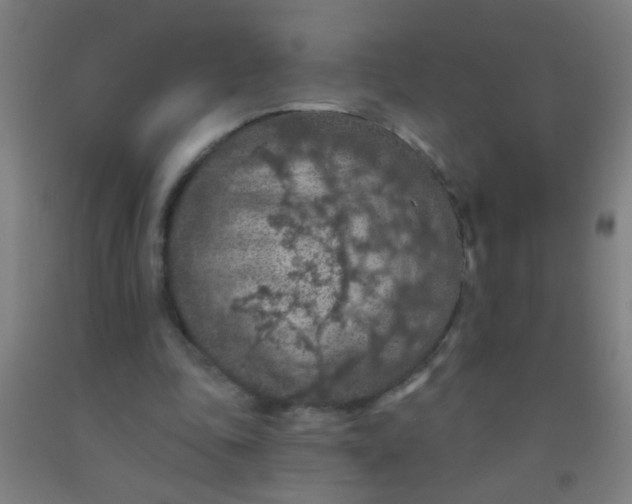 X0000092030343200709271613