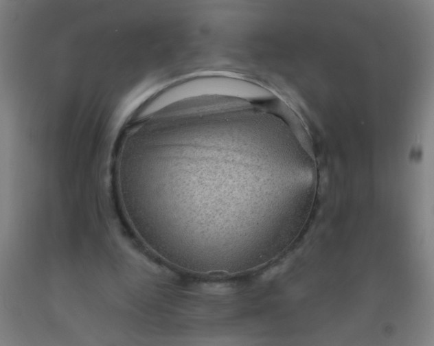 X0000092030344200709271613