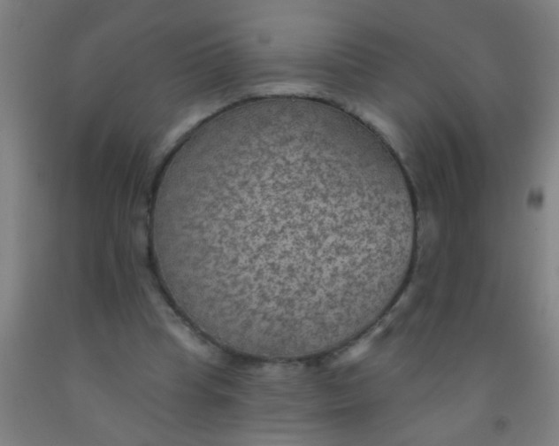 X0000092030345200709271613