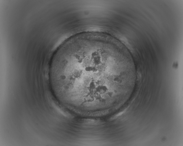 X0000092030347200709271613