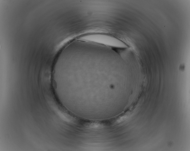 X0000092030348200709271613