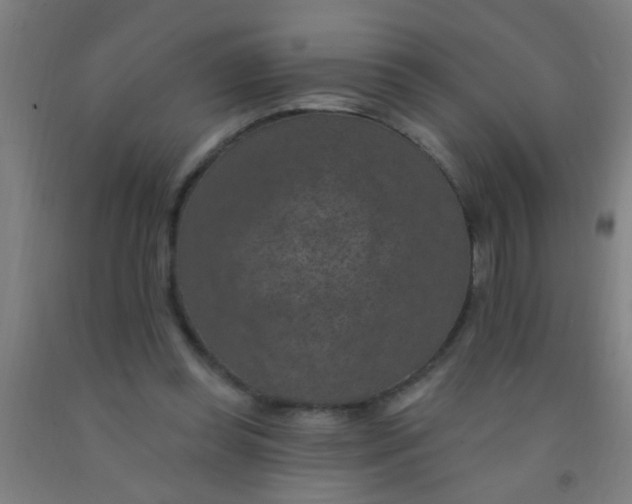 X0000092030349200709271613