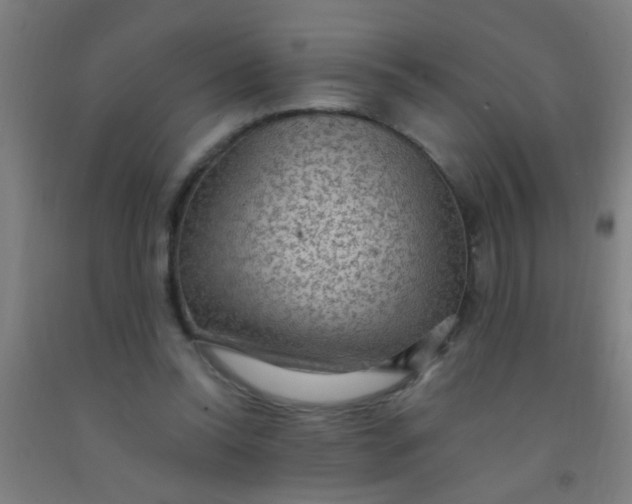 X0000092030350200709271613