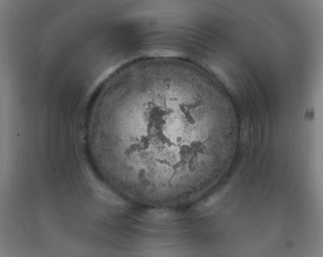 X0000092030351200709271613