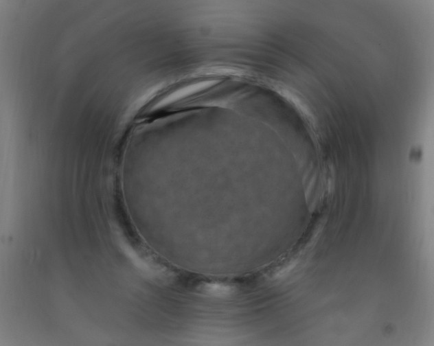 X0000092030352200709271613