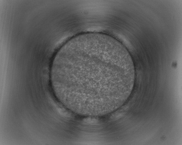 X0000092030354200709271613