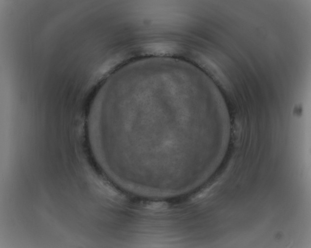 X0000092030355200709271613