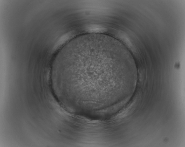 X0000092030357200709271613