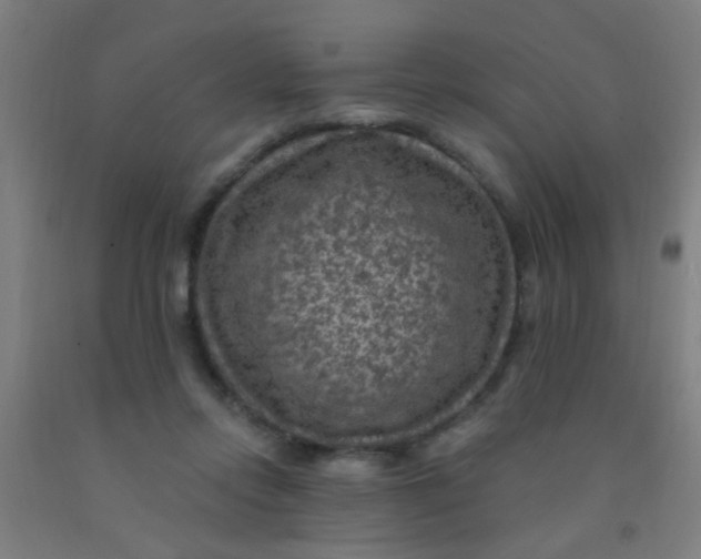 X0000092030358200709271613