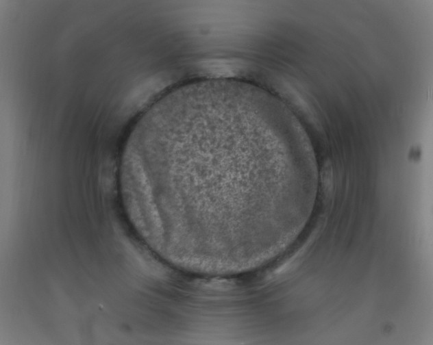 X0000092030359200709271613