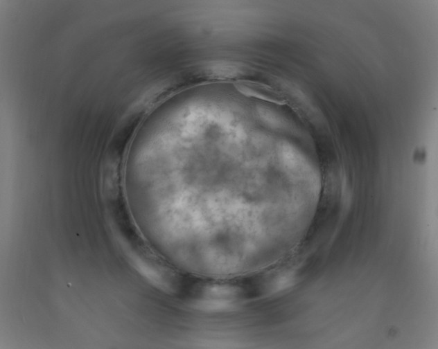 X0000092030360200709271613