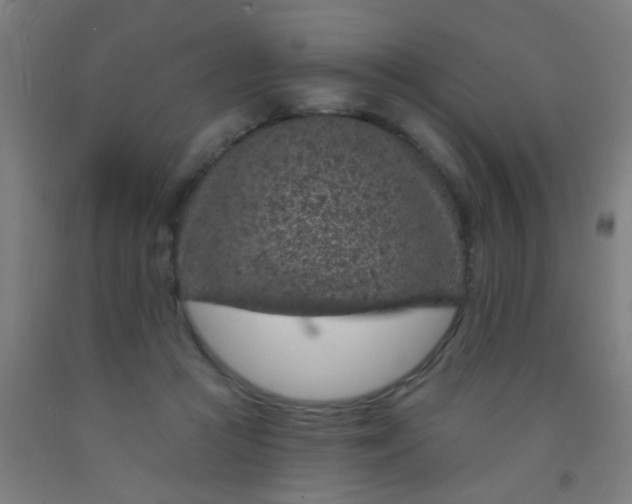 X0000092030361200709271613