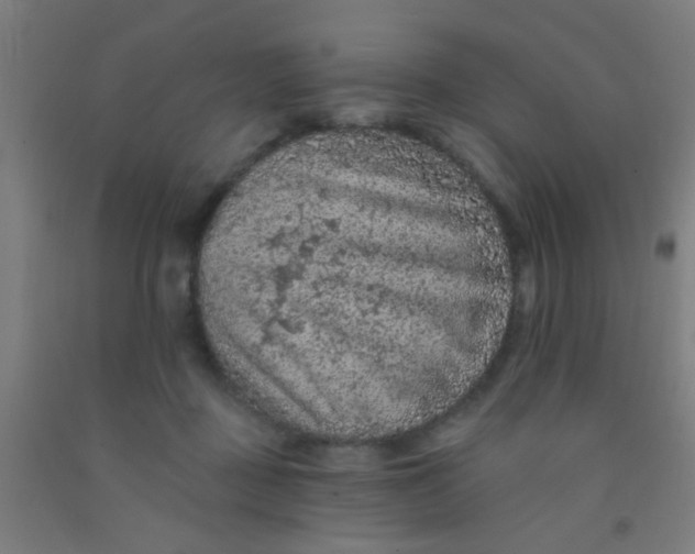 X0000092030363200709271613