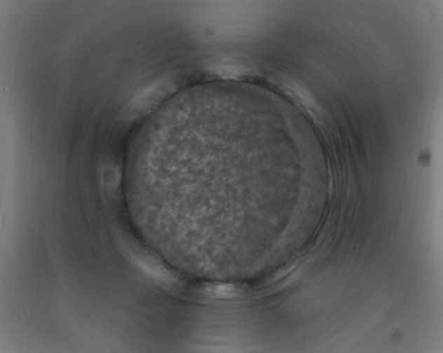 X0000092030365200709271613