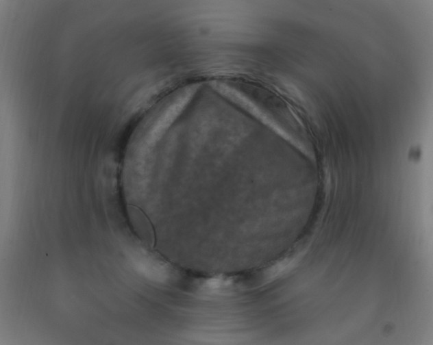 X0000092030366200709271614