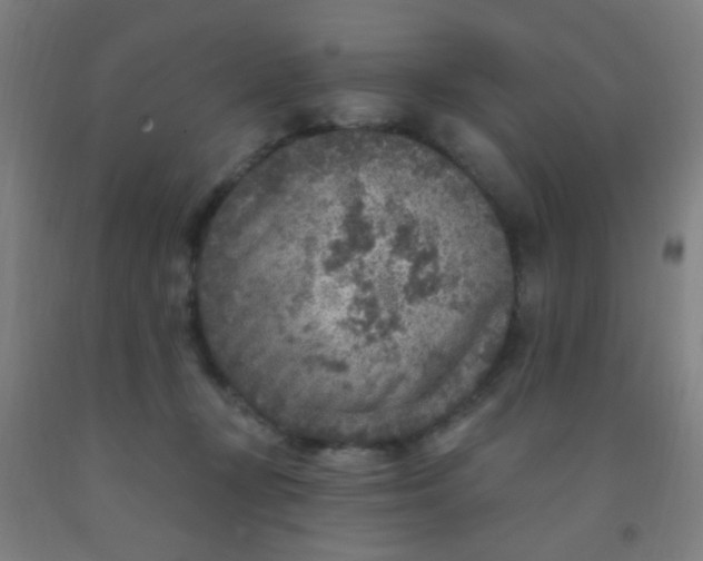 X0000092030367200709271614