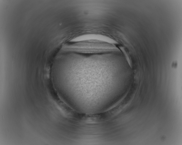 X0000092030368200709271614