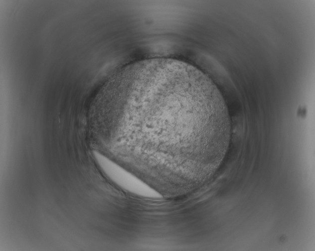 X0000092030369200709271614