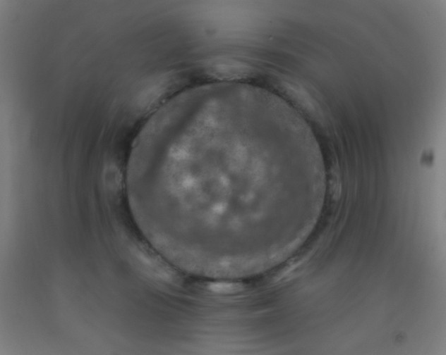 X0000092030371200709271614