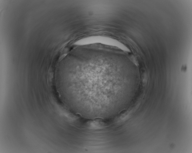 X0000092030372200709271614