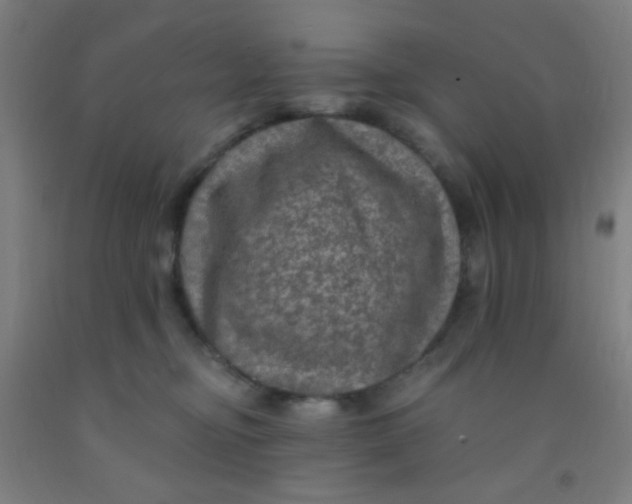 X0000092030374200709271614