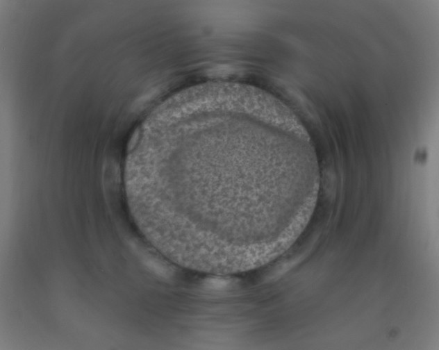 X0000092030375200709271614