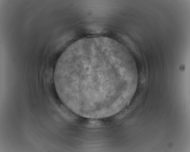 X0000092030376200709271614