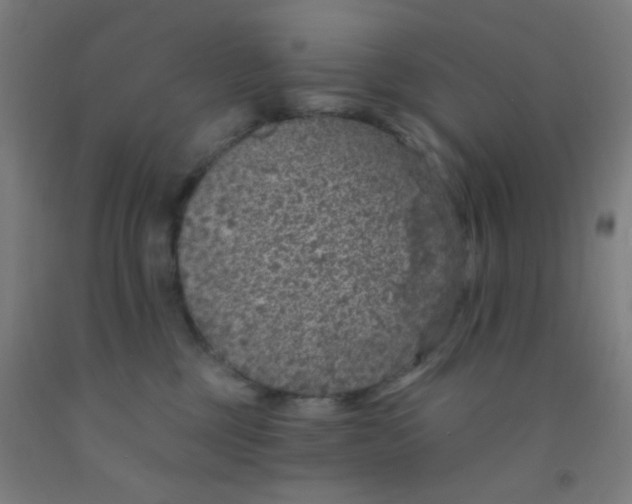 X0000092030377200709271614