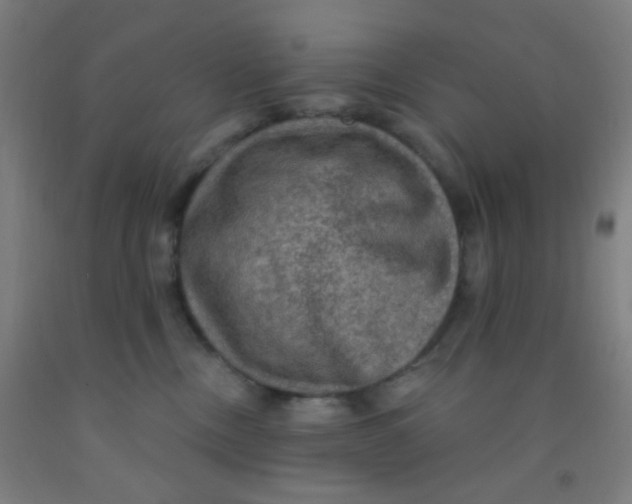 X0000092030378200709271614