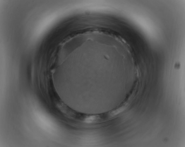 X0000092030382200709271614