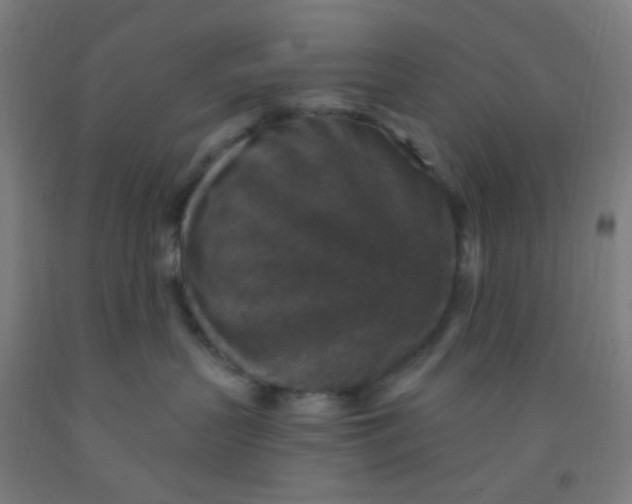 X0000092030383200709271614