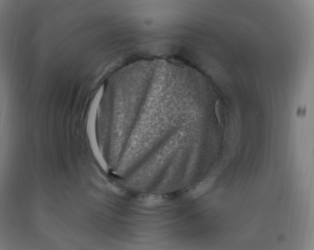 X0000092030384200709271614