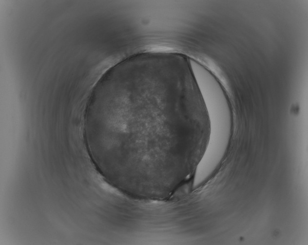 X0000092030385200709271613