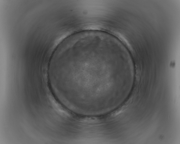 X0000092030386200709271613