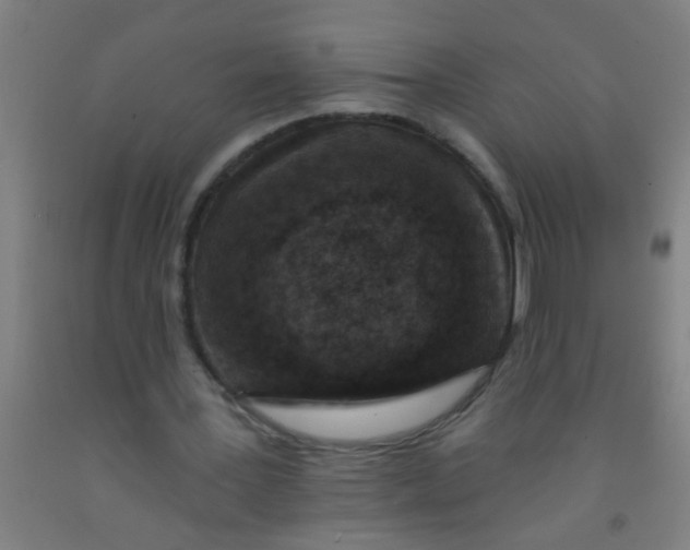 X0000092030387200709271613