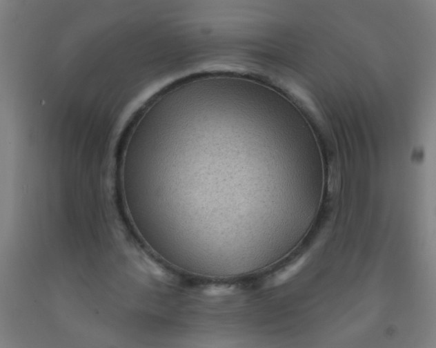 X0000092030388200709271613