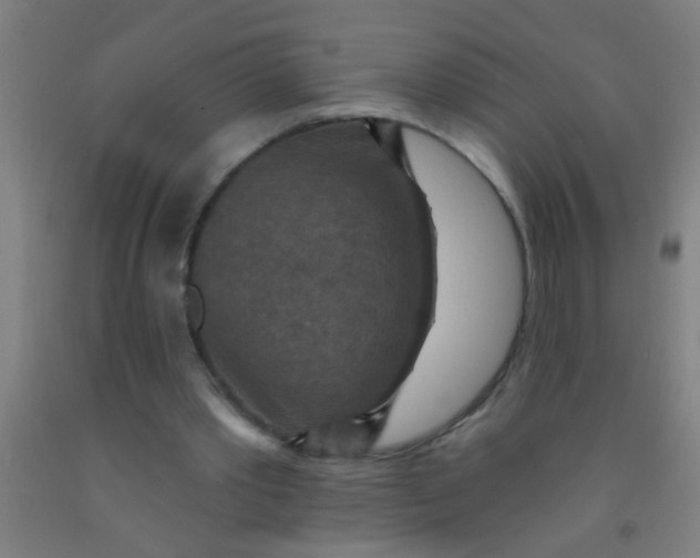 X0000092030389200709271613