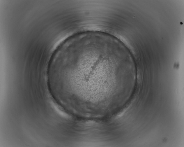 X0000092030390200709271613