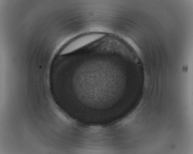 X0000092030391200709271613