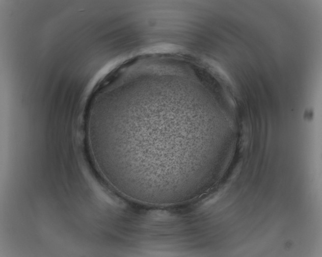 X0000092030392200709271613