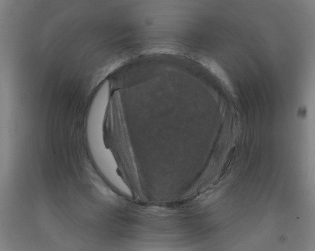 X0000092030393200709271613