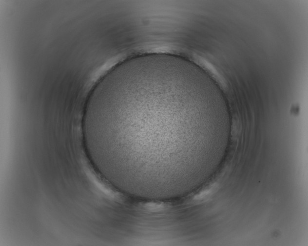 X0000092030394200709271613