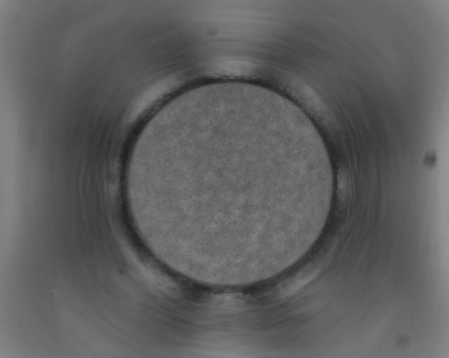 X0000092030396200709271613