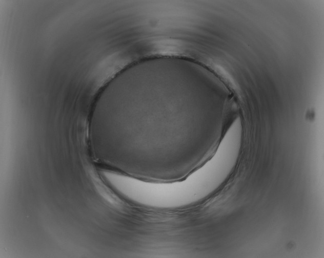 X0000092030397200709271613